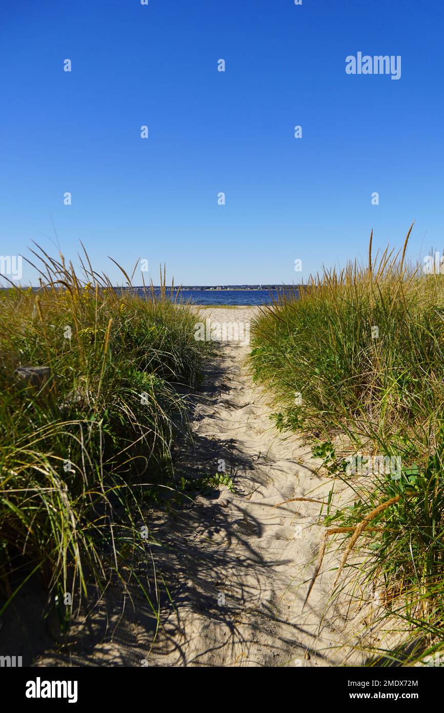 Weg durch den Seegras zum Strand Stockfoto