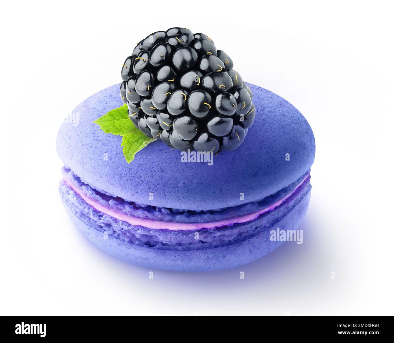 Eine Brombeerfrucht auf blauer Makrone isoliert auf weißem Hintergrund Stockfoto