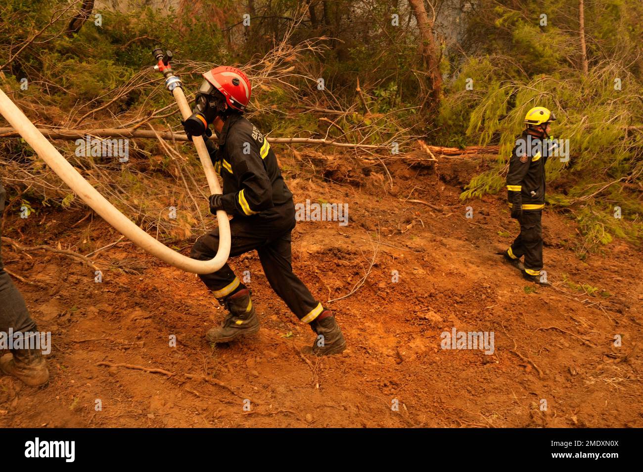 Firefighters from Serbia try to extinguish a wildfire at Kamaria village on Evia island, about 189 kilometers (114 miles) north of Athens, Greece, Tuesday, Aug. 10, 2021. Firefighters and residents battled for an eighth day against a massive fire on Greece's second-largest island as the nation endured what the prime minister described as "a natural disaster of unprecedented proportions." (AP Photo/Petros Karadjias) Stockfoto