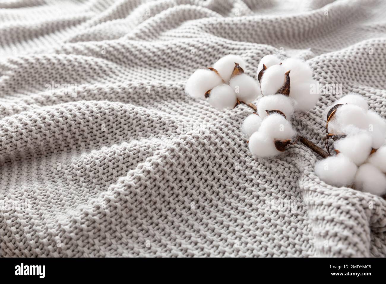 Gemütliche graue Decke mit Baumwollblumen und Kopierbereich Stockfoto