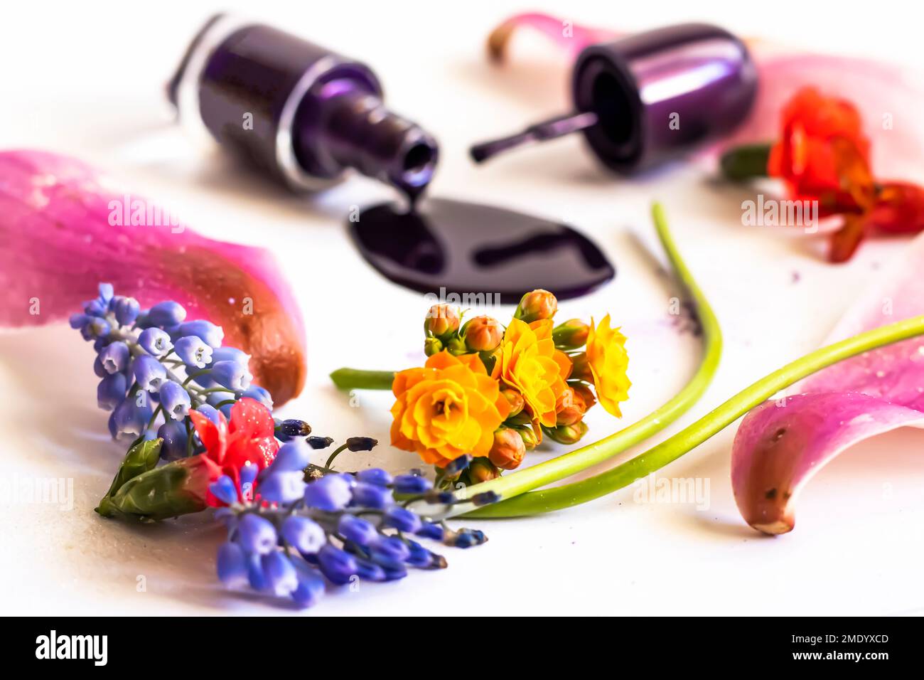 Nagellack mit Blumen Stockfoto