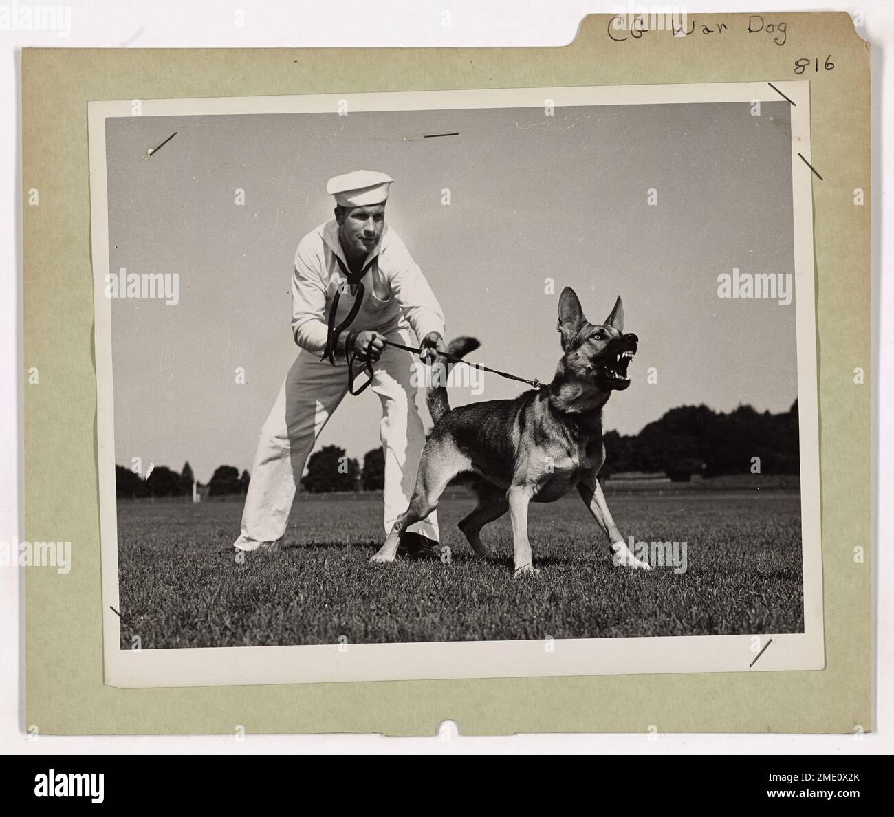 Dieses Bild zeigt einen Hund der Küstenwache, der schnurrt und schnappt und vor Versuchen feindlicher Spione und Saboteure warnt, die versuchen, an US-Küsten zu landen. Der Hund spielt eine entscheidende Rolle beim Schutz der Küstengebiete während des Krieges. Stockfoto