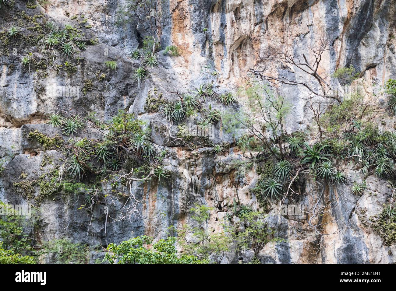 Sumidero Canyon bei Chiapa de Corzo, Chiapas, Mexiko, Nordamerika, Amerika Stockfoto