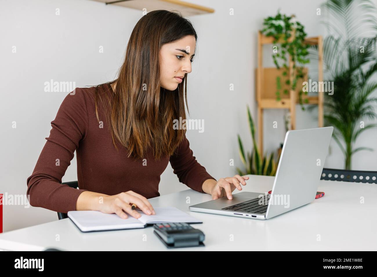 Junge Geschäftsfrau, die zu Hause mit einem Notebook arbeitet Stockfoto