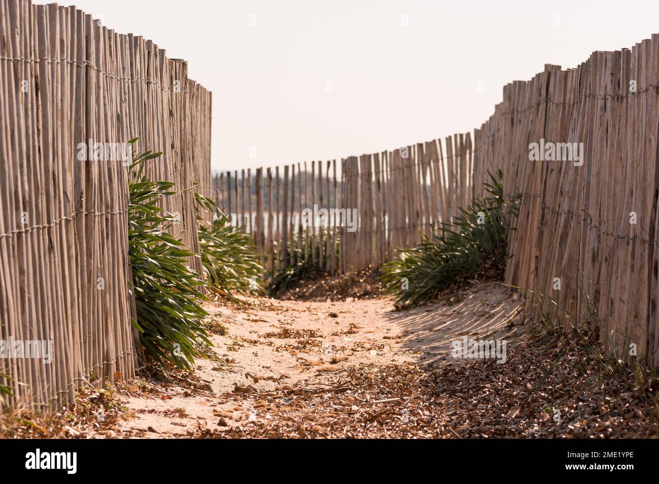 Malerischer Blick auf den Holzzaun am Strand von Saint Tropez südlich von Frankreich Stockfoto