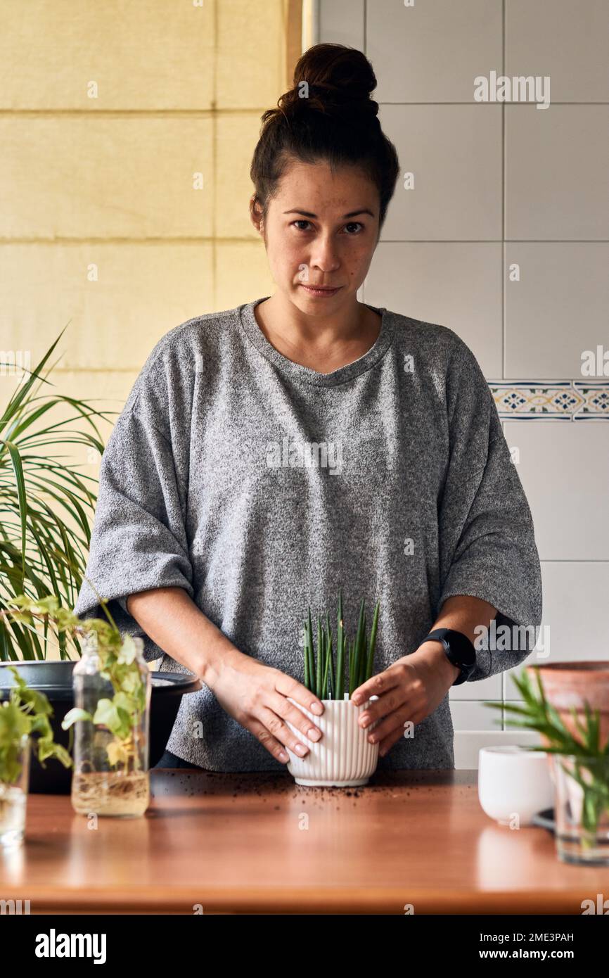 Eine Frau sät eine Pflanze auf einem Tisch im Haus Stockfoto