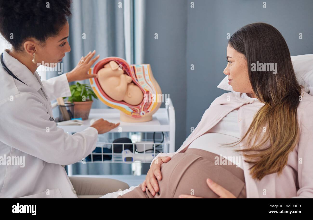 Schwangere, Frau und Arzt mit dem Fötus in der Klinik zur ärztlichen Begutachtung und Fortschrittsbeurteilung. Baby, Schwangerschaft und mutter mit schwarzer Frau Stockfoto