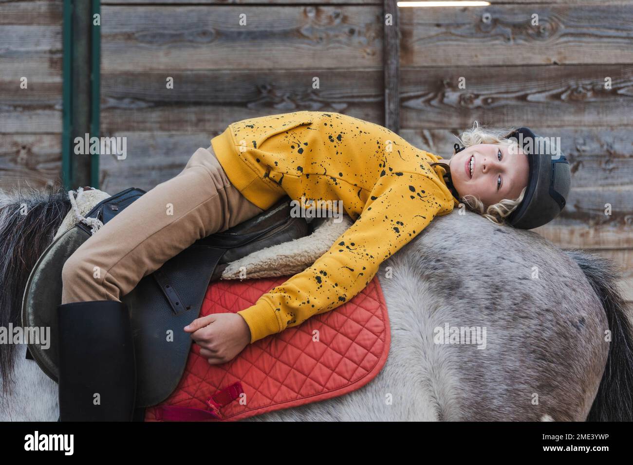 Glücklicher Junge, der auf der Ranch auf dem grauen Dapple-Pferd liegt Stockfoto