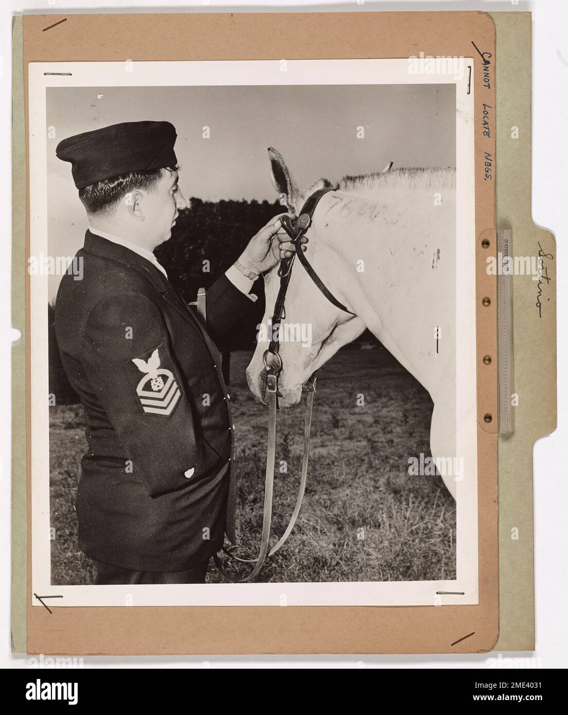 Foto des Küstenwächters Thomas Sortino. Foto des Küstenwächters Thomas Sortino -- Thomas Sortino, 26, Chief Boatswain's Mate, U.S. Coast Guard, der seinen rechten Arm bei einer Seeschlacht vor Casablanca verlor, am 9. November 1942, ist immer noch aktiv als Ausbilder für Reiten an der Küstenwache Pferdepatrouille Trainingsstation, Philadelphia. Mit seiner linken Hand und den Zähnen kann er seine eigene Halterung satteln und zaubern und die Schwierigkeiten des Trainingskurses mit den besten Schülern bewältigen. Er ist ein ehemaliger U. S. Cavalryman und trat 1939 der Küstenwache bei. Stockfoto