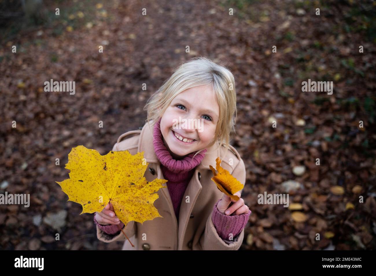 Glückliches blondes Mädchen mit gelben Ahornblättern Stockfoto