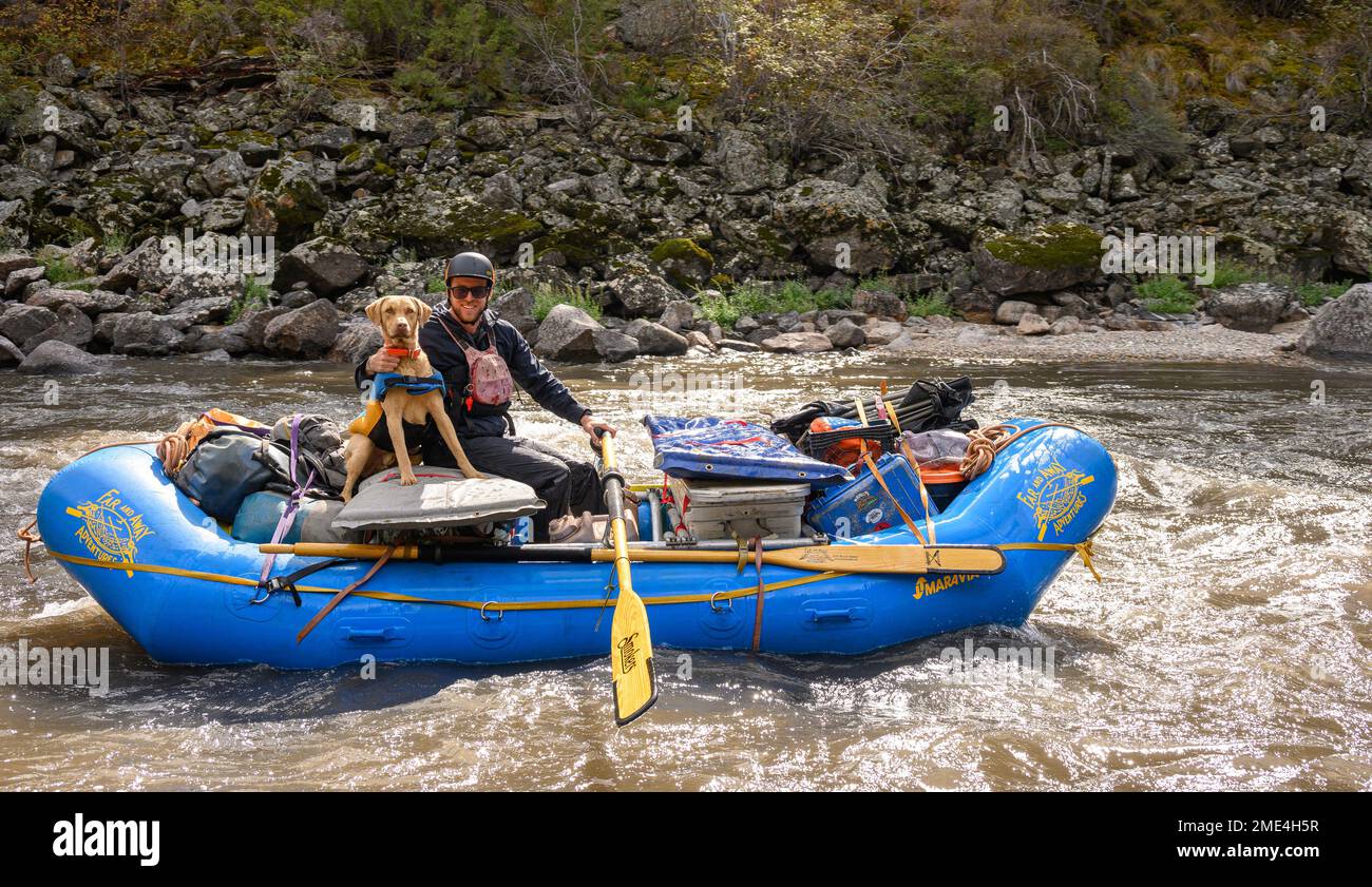 Wildwasser Rafting auf dem Middle Fork Salmon River in Idaho mit weitem Abenteuer. Stockfoto