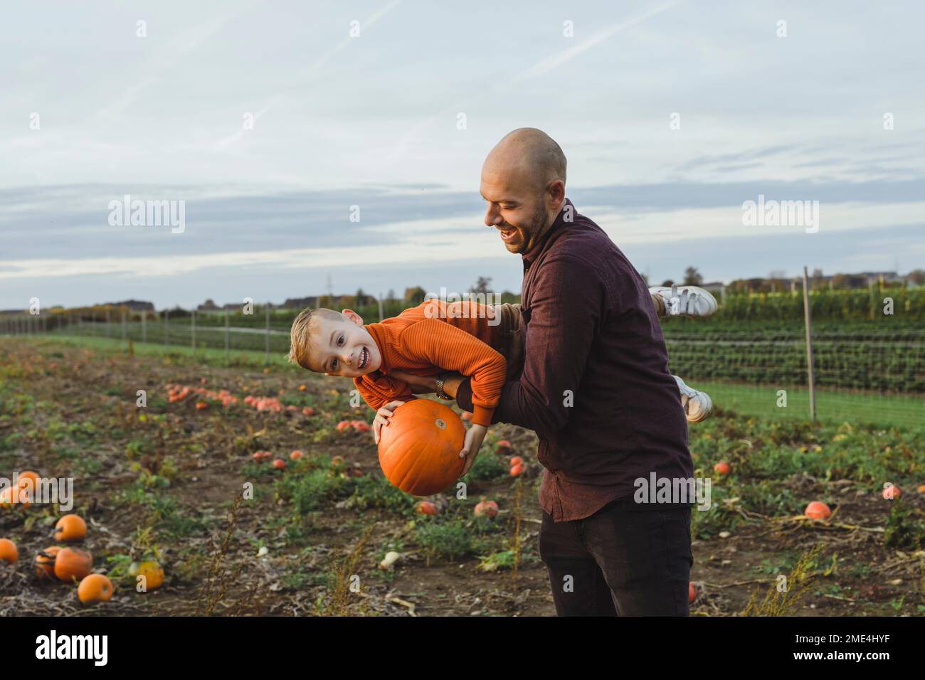 Vater trägt einen Sohn, der Kürbis im Feld hält Stockfoto