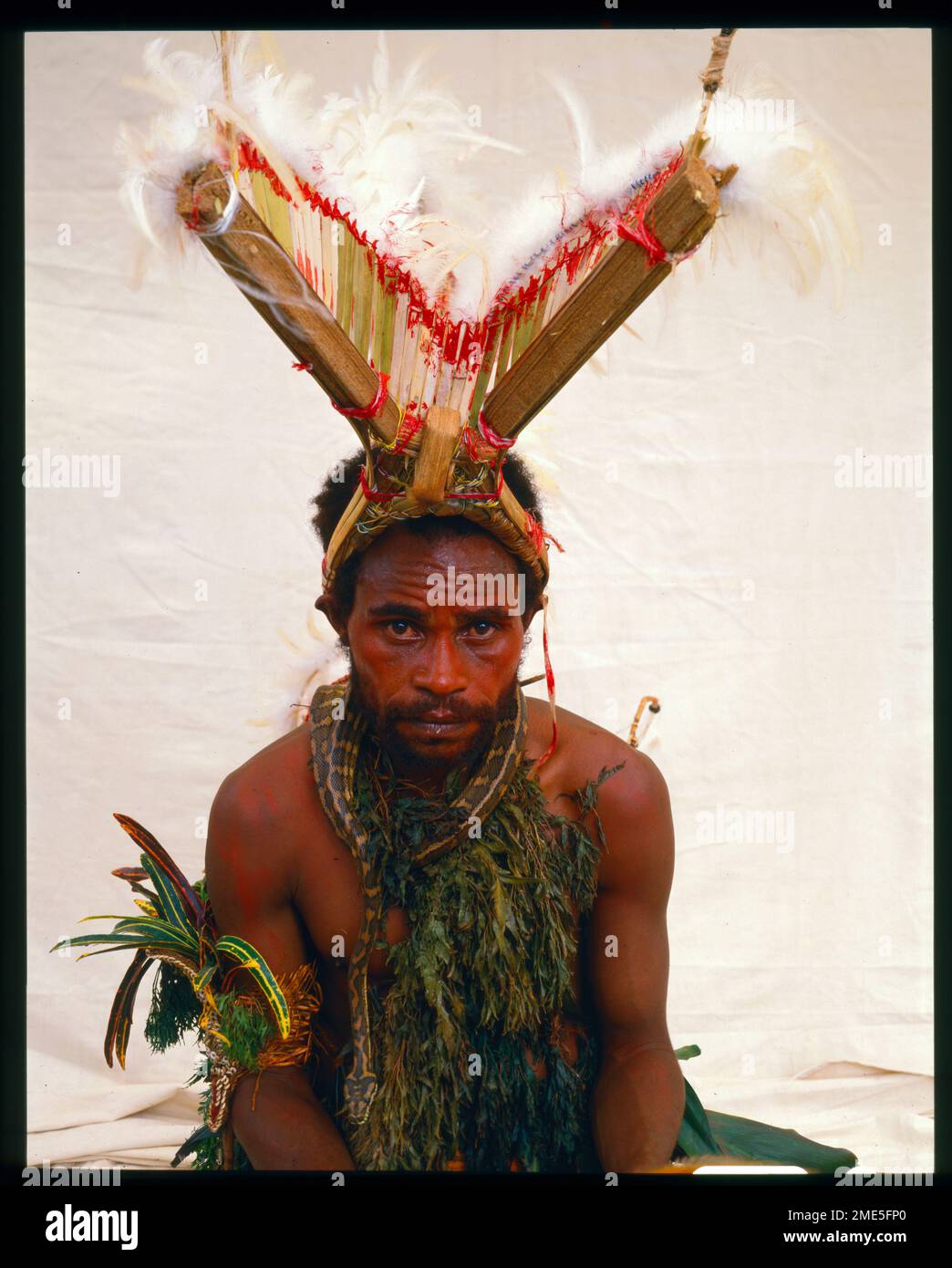 Tienu Levi mit Python um den Hals vom Dorf Gunbarami bei Madang, Provinz Morobe in Papua-Neuguinea Stockfoto