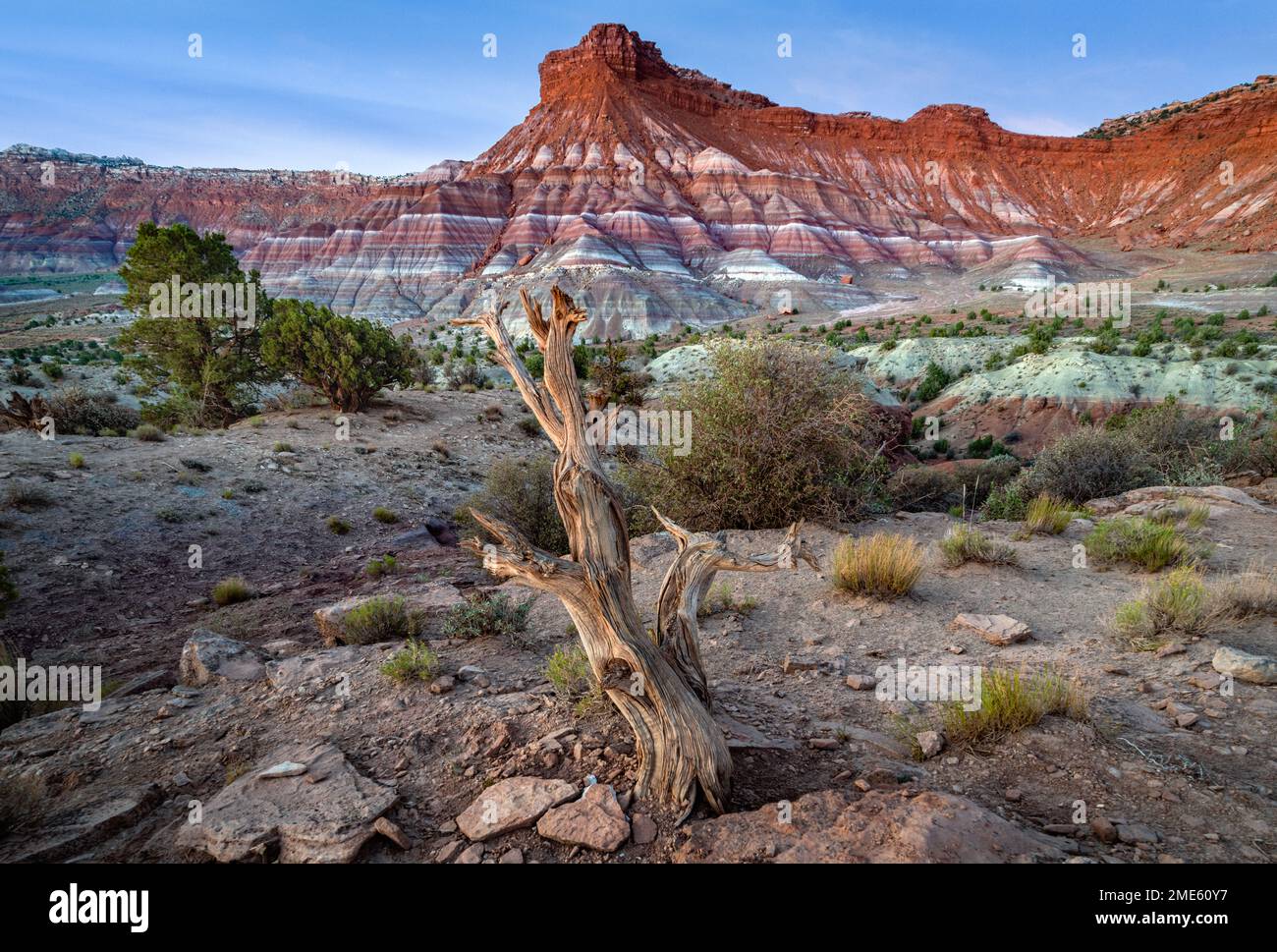 Farbenfrohe Felsformationen des Old Paria Townsite in der Wüstenlandschaft des amerikanischen Südwestens in Kanab, Utah Stockfoto