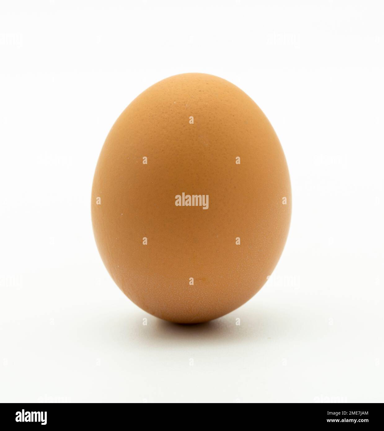 Huevos de gallina aislados sobre fondo Blanco Stockfoto