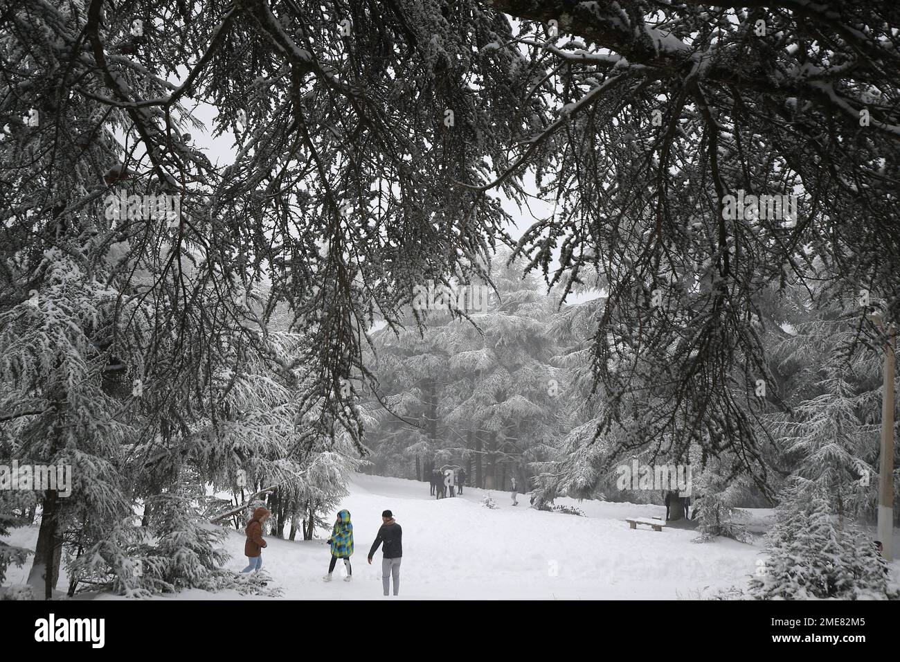 Verdammt. 24. Januar 2023. Die Menschen genießen den Schnee im Chrea-Nationalpark in der Provinz Blida, Algerien, 23. Januar 2023. Kredit: Xinhua/Alamy Live News Stockfoto