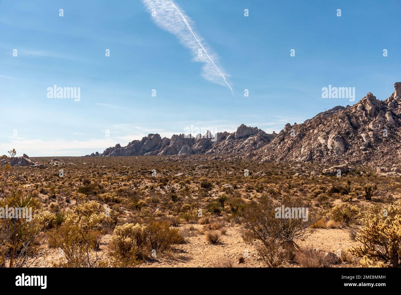 Landschaftsblick aus der Mojave-Wüste, Kalifornien, Vereinigte Staaten von Amerika. Stockfoto