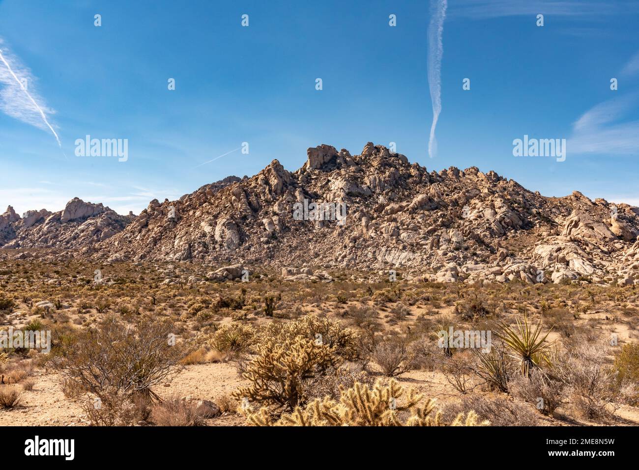 Landschaftsblick aus der Mojave-Wüste, Kalifornien, Vereinigte Staaten von Amerika. Stockfoto
