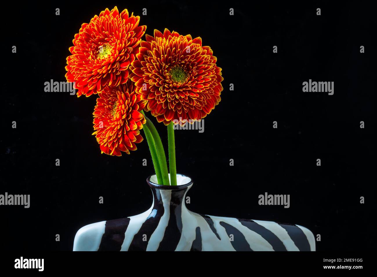 Orangene Mütter In Vase Stockfoto