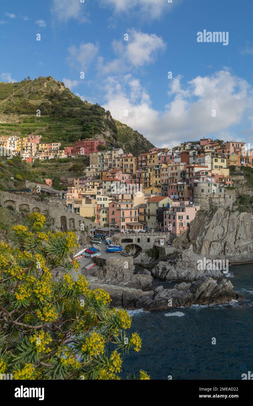 Vertikaler Blick auf die farbenfrohen Gebäude des Küstendorfes Manarola im Frühling, Cinque Terre, Italien. Stockfoto