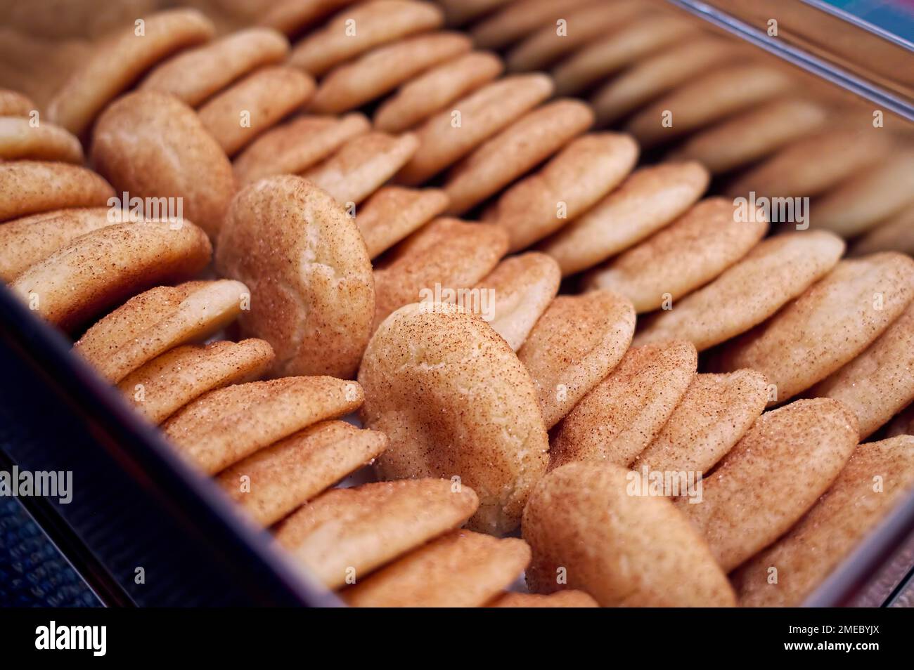 Eine kleine Portion frisch gebackener Snickerdoodles (mit Zucker und Zimt überzogene Zuckerkekse) in einer Keksdose. Stockfoto