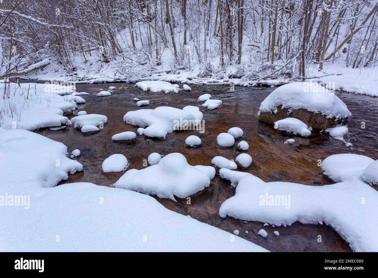 Schneebedeckte Steine im Fluss, Winterlandschaft Stockfoto
