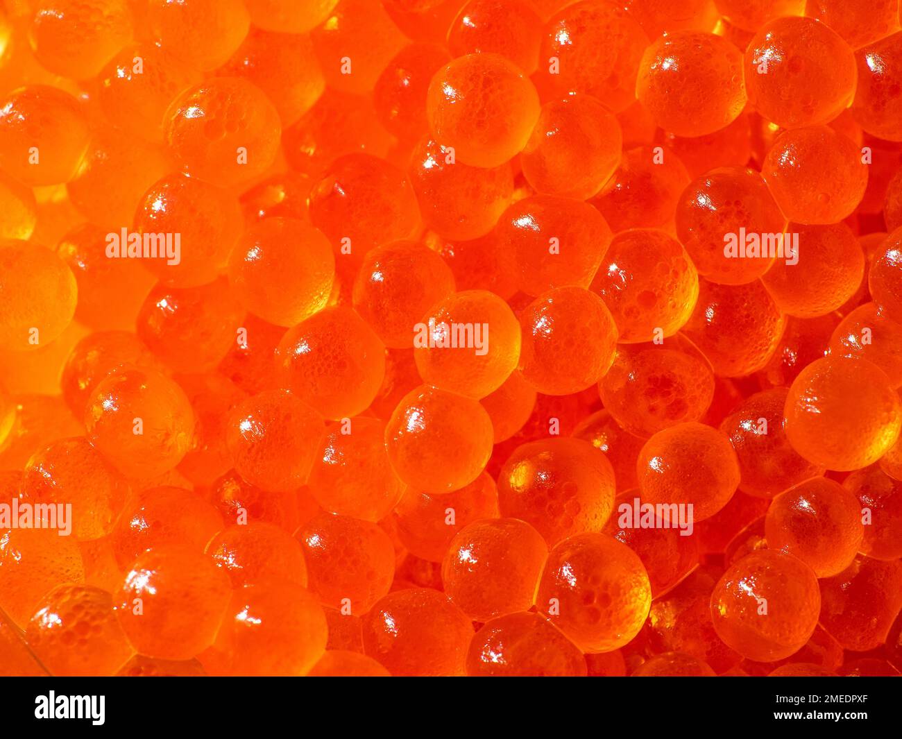 Saftige, frische Makro-Nahaufnahme aus rotem Kaviar. Gesunde Meeresfrüchte mit Omega. Stockfoto