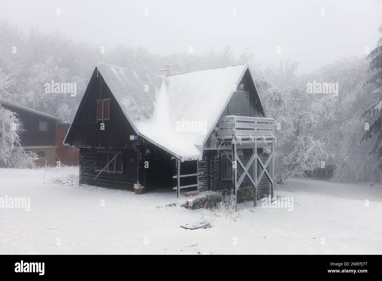 Frosthütte im Winter im Nebelwald Stockfoto