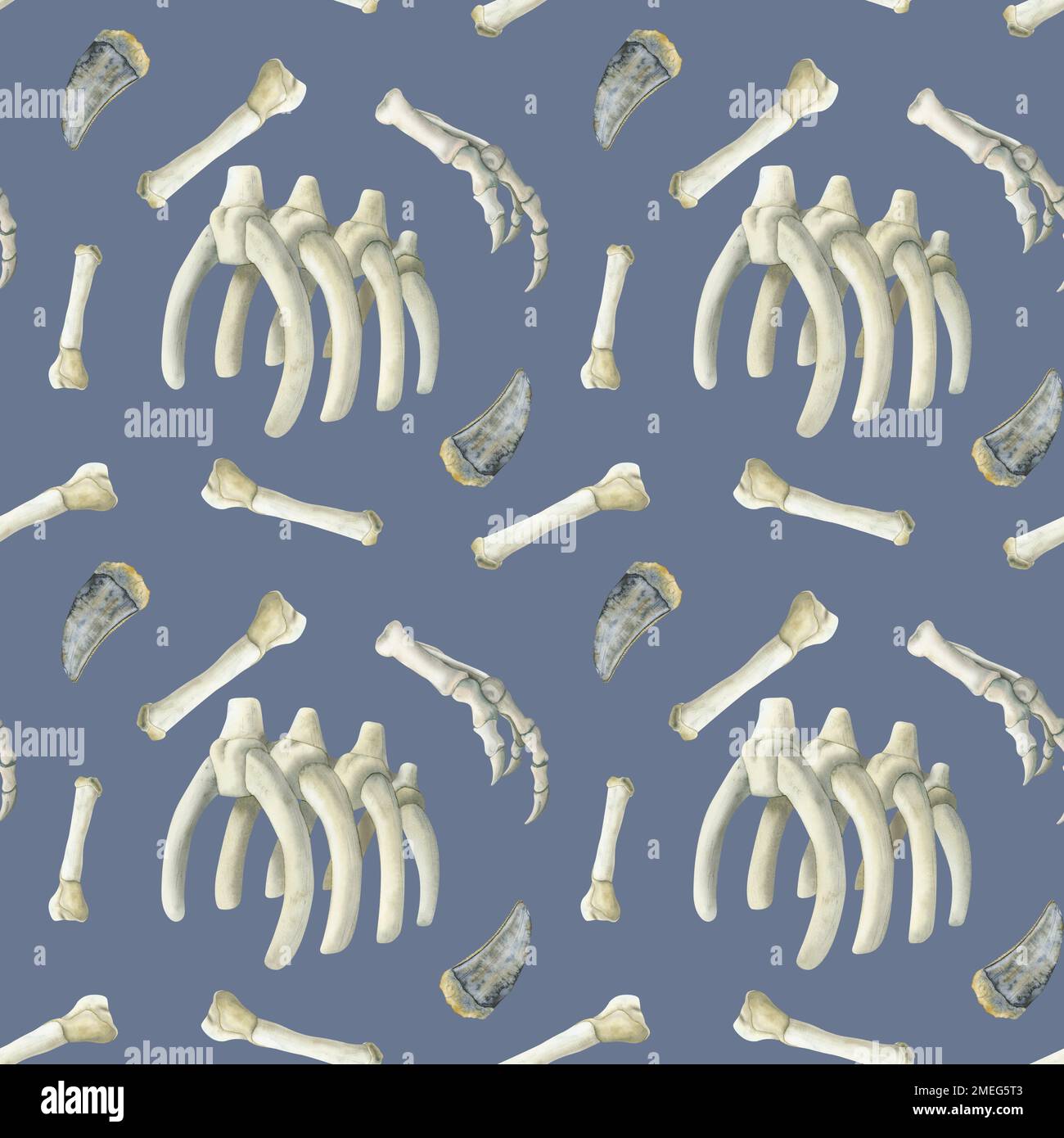 Wasserfarbenes paläontologisches Nahtmuster mit Dinosaurierknochen, Tyrannosaurusrippen und Zähnen auf blauem Hintergrund. Stockfoto