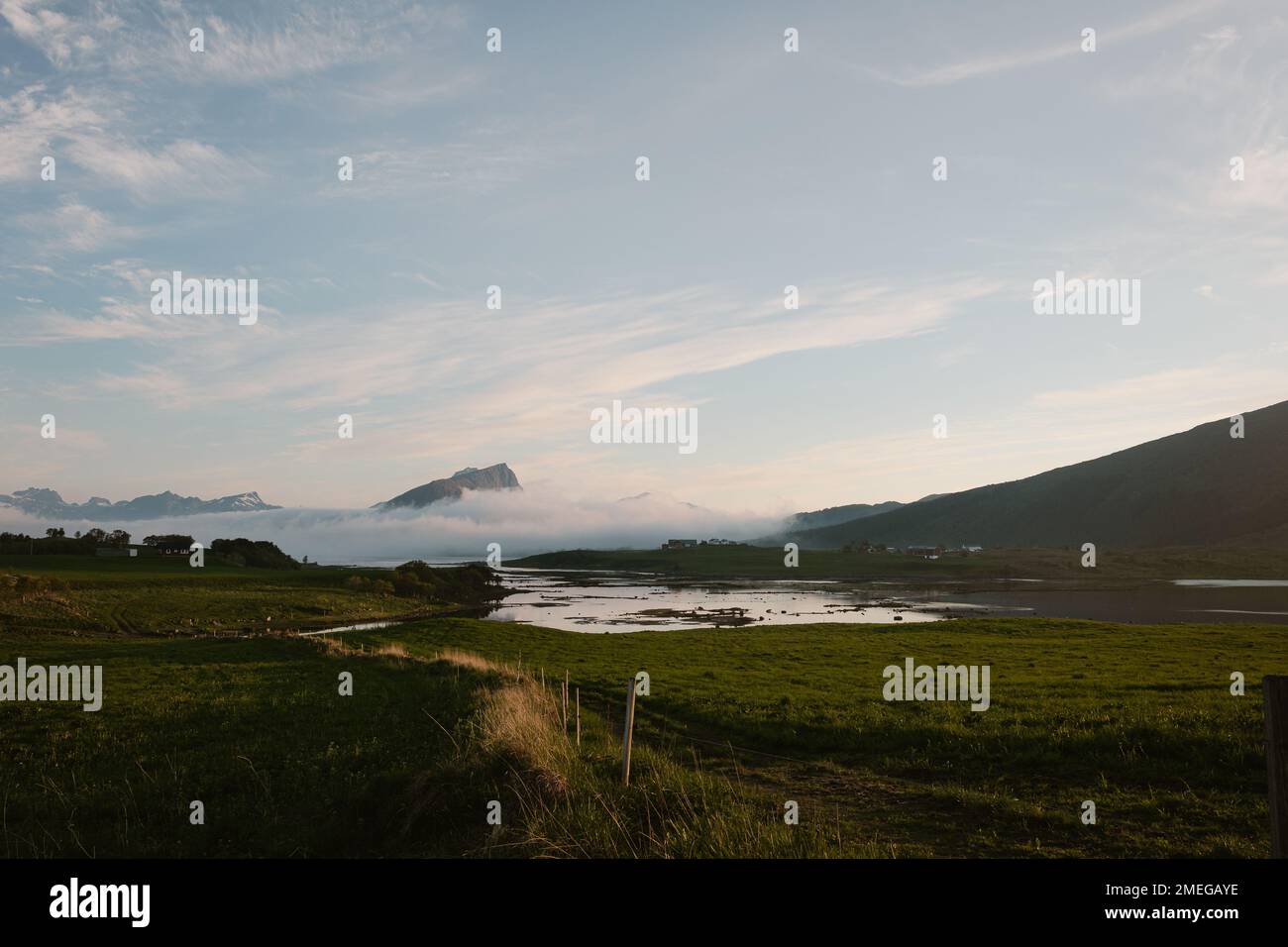 Ruhiger und malerischer Blick auf einen Lofoten-Fjord und Weiden im Sommer Stockfoto