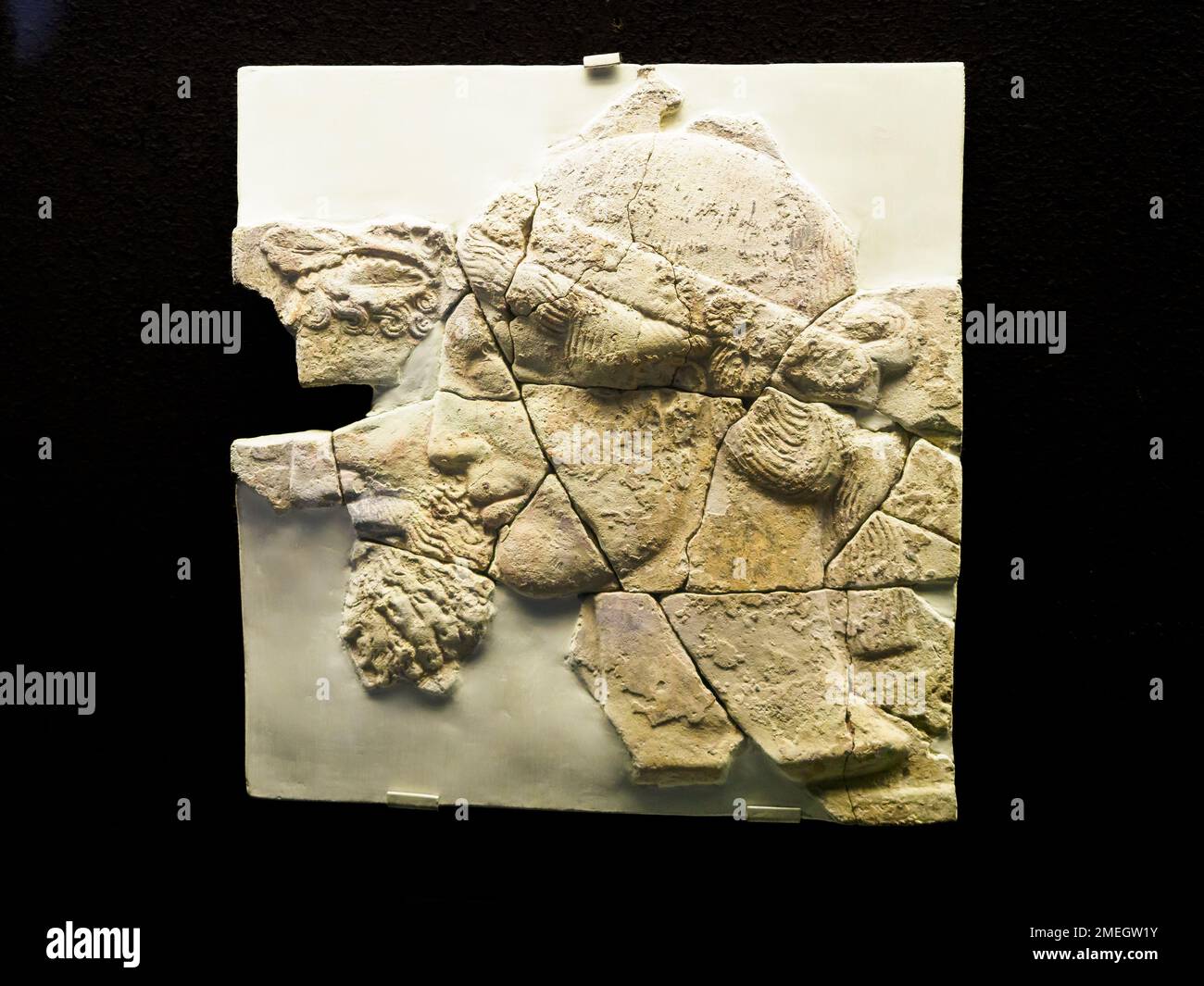Kopf einer weiblichen Gottheit mit "Stephane" dekoriert mit Rosetten. Sizilianische oder italienische Fabrik. 460 BC - Museo Archeologico Regionale Paolo Orsi - Syracuse, Sizilien, Italien Stockfoto