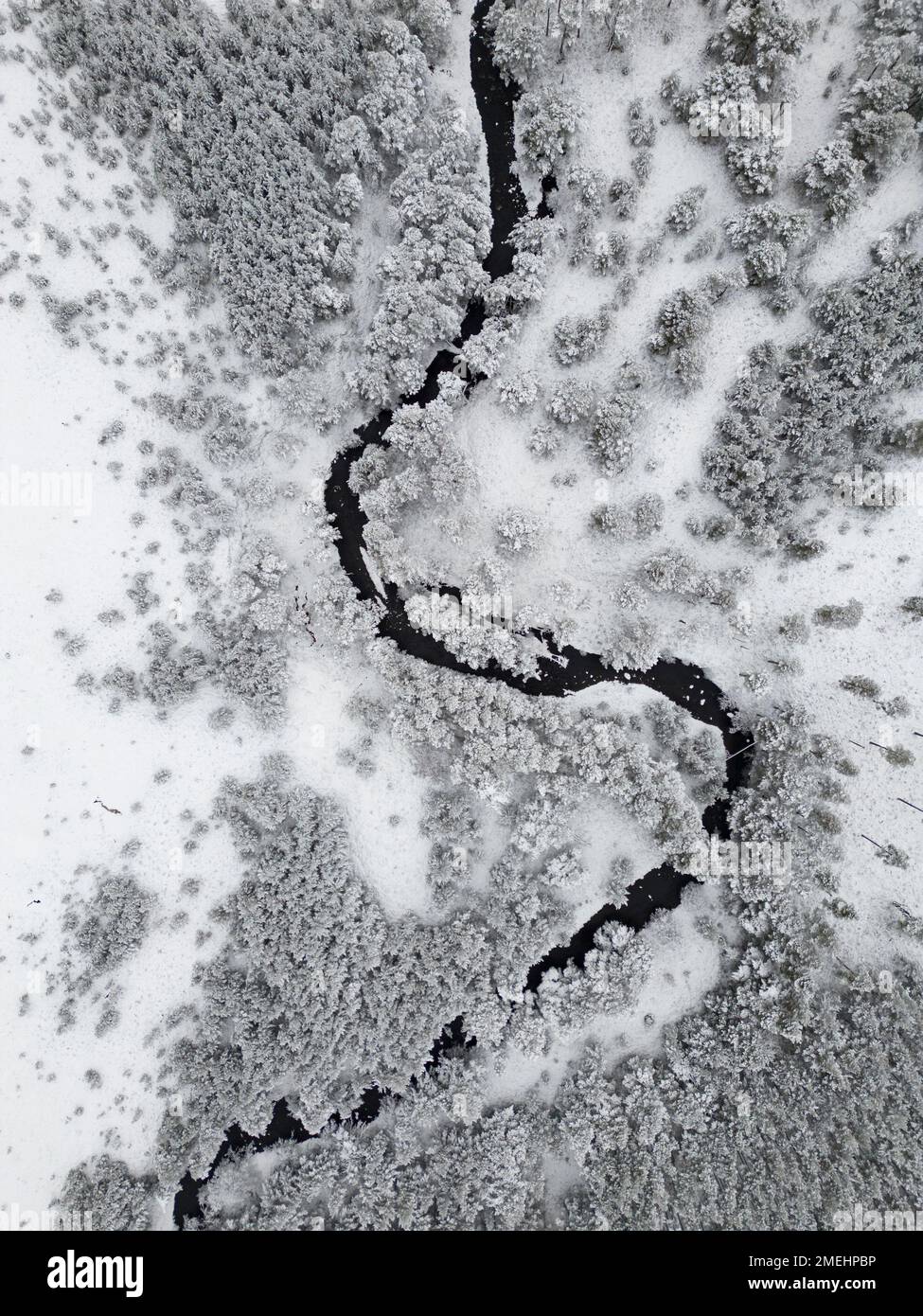 Luftaufnahme des Flusses Luineag im schneebedeckten Rothiemurchus Forest, Cairngorms National Park, Scottish Highlands, Schottland, Großbritannien Stockfoto