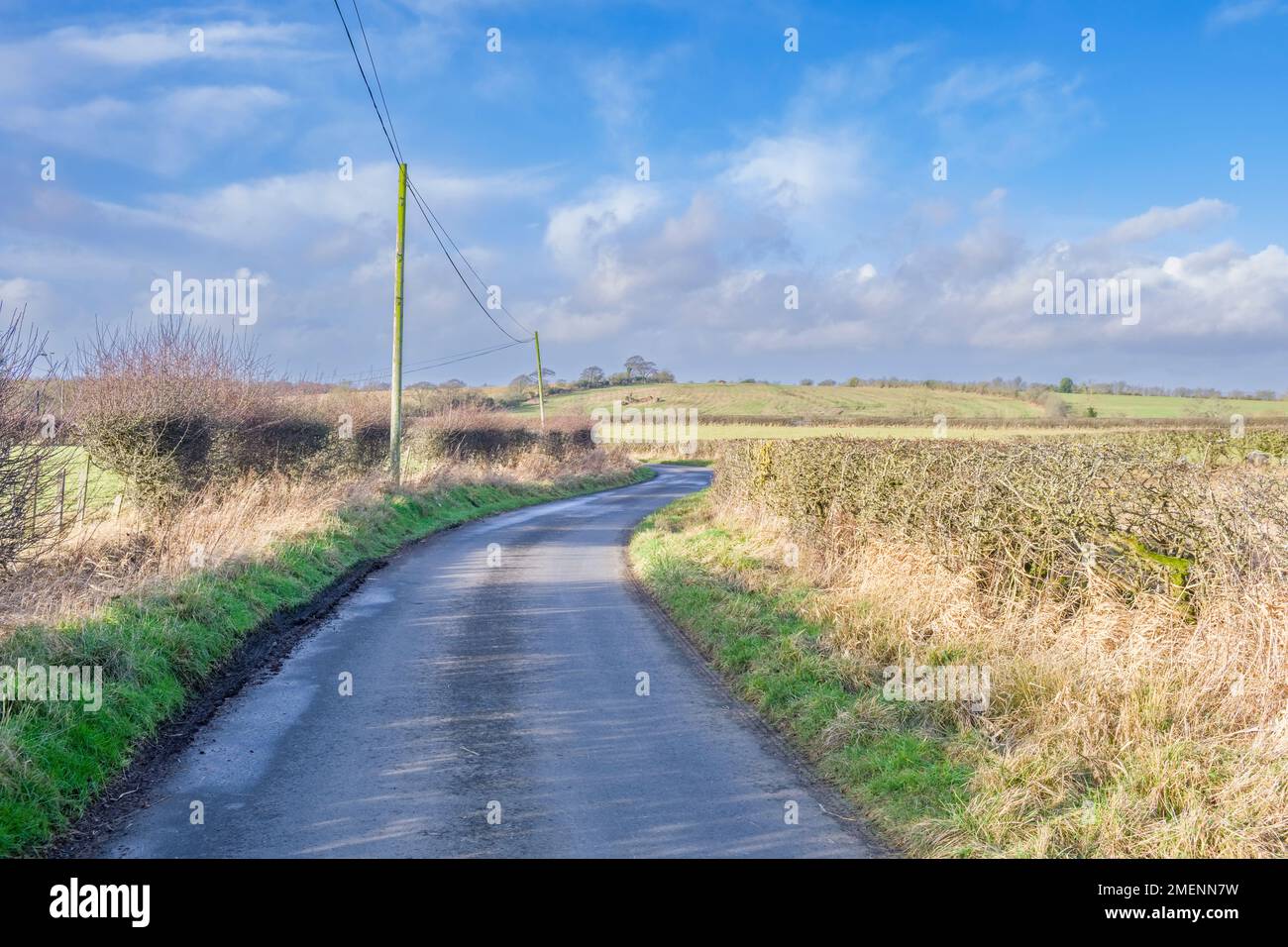 Wunderschöne schottische Felder im Burns Country mit Feldern und Bäumen und Hecken Stockfoto