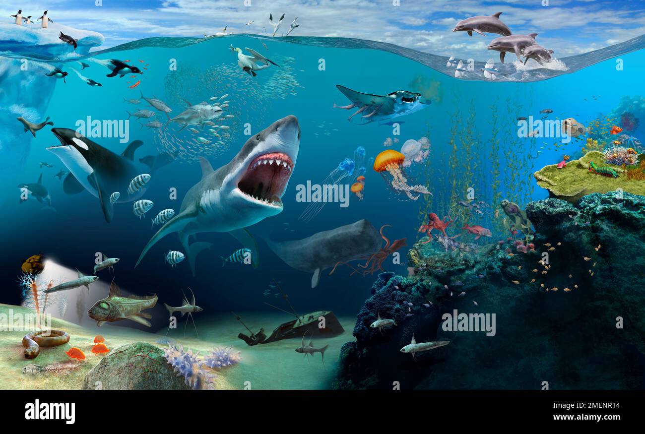 Digitale Darstellung von Unterwasserwelt, Delfinen über Wasser und Pinguinen auf Eis Stockfoto