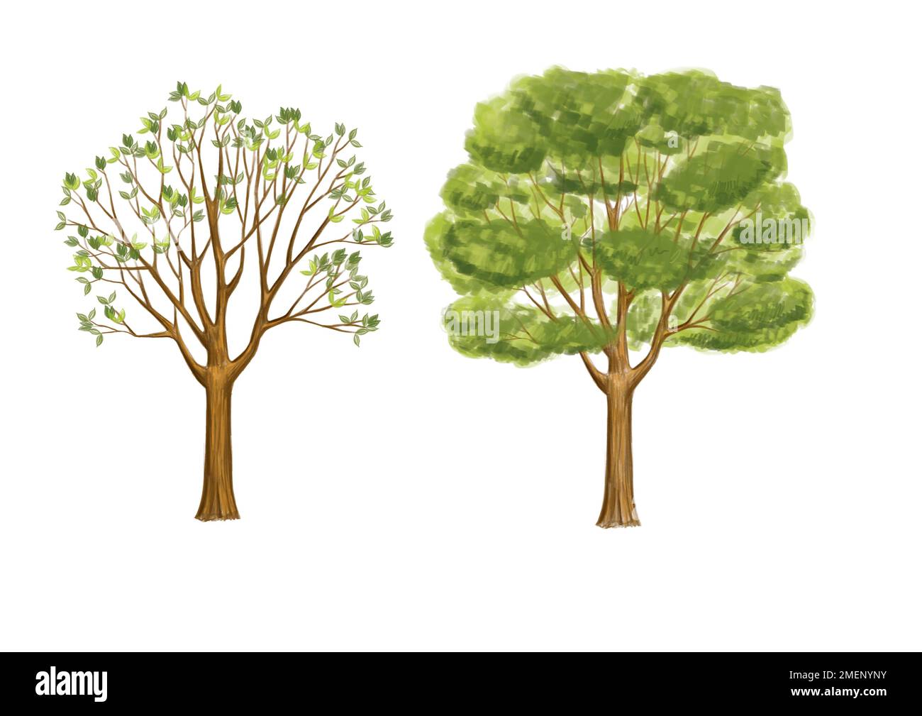 Zwei illustrierte Bäume Stockfoto