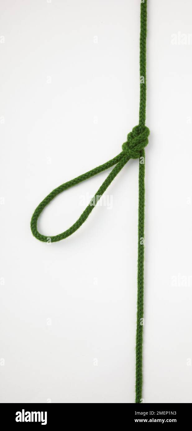 Eine Figur-von-Acht-Loop in der Bight, Knoten in grünem Seil, in der Mitte des Seils Stockfoto