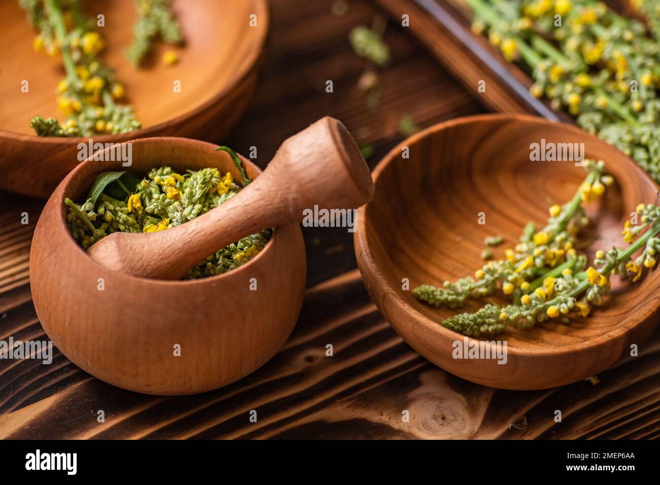 Mörtel mit Zutaten zum Zerkleinern zu Pulver oder Paste zur Herstellung von Kosmetika oder Pigmenten mit Verbascum nigrum, schwarzem Mullein, dunklem Mull Stockfoto