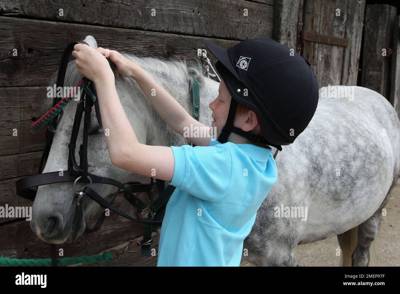 Ein junger lächelnder Junge, der Zauber auf ein graues Pony im Stallgarten legt, Nahaufnahme Stockfoto