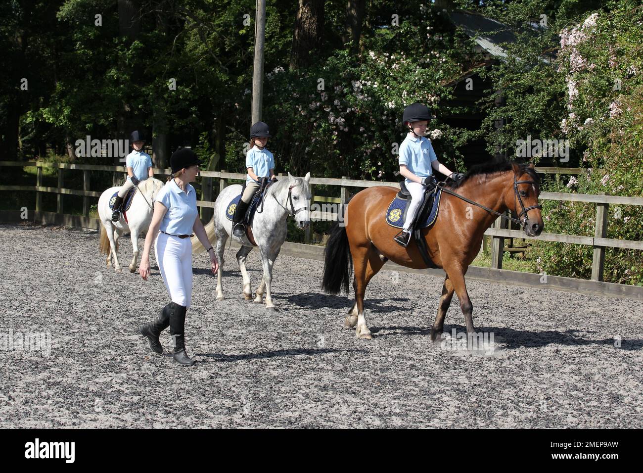 Mädchen und Jungen, die grau reiten und Bay Ponys in Paddock während des Reitstages, unterrichtet von der Lehrerin, Seitenansicht Stockfoto