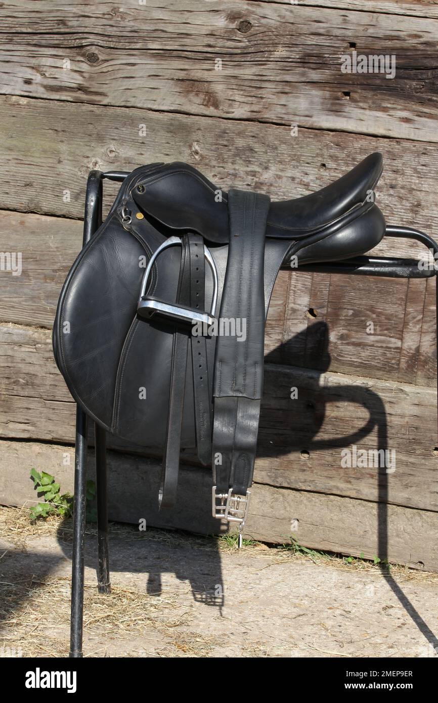 Poliertes schwarzes Leder Allzweck-Reitsattel auf dem Sattelständer im Freien bei Fahrstall, Seitenansicht Stockfoto