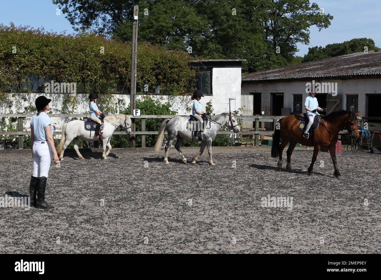 Mädchen und Junge, die grau reiten und Bay Ponys in Paddock während des Reitstages, der von einer Lehrerin unterrichtet wird Stockfoto