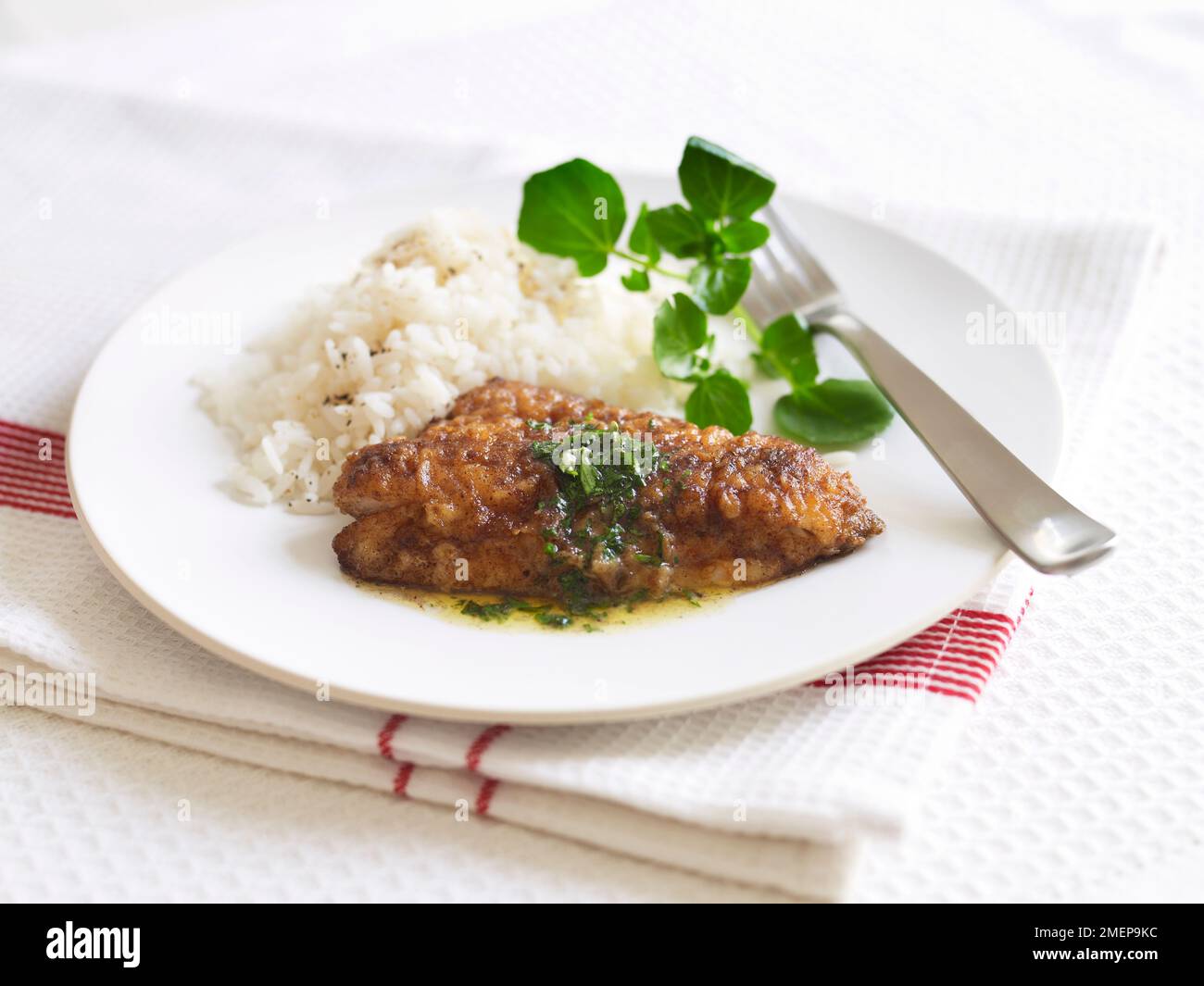 Cajun-roter Schnapper Stockfoto