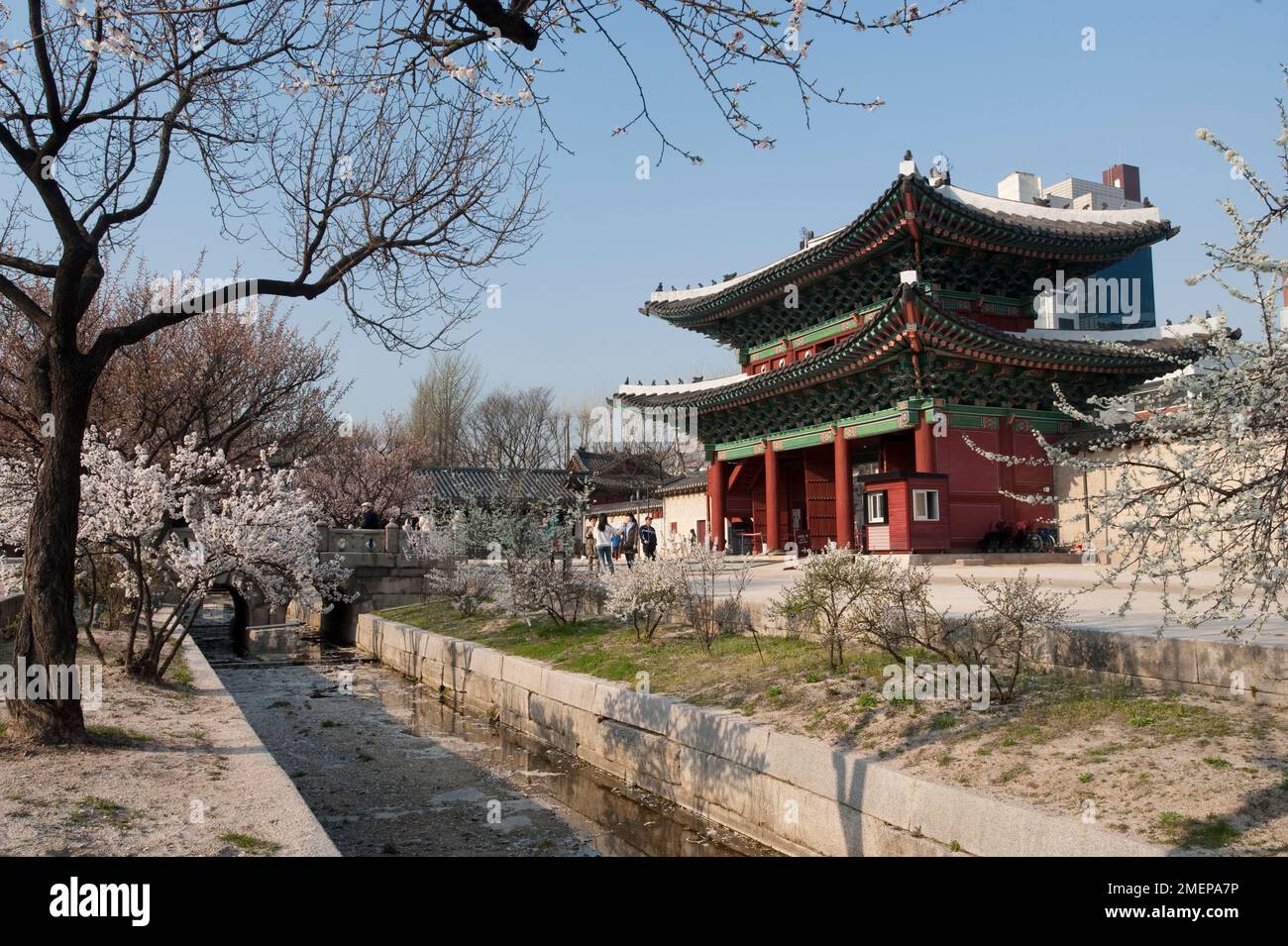 Südkorea, Seoul, Changgyeong Palast, Graben mit Pagode, blühende Bäume Stockfoto