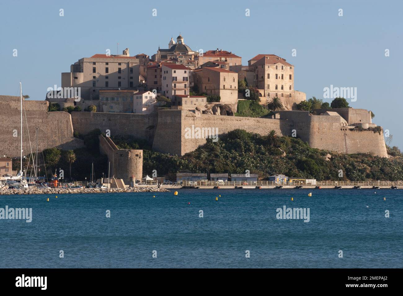 Frankreich, Korsika, Calvi - Blick auf die Zitadelle über die Bucht Stockfoto