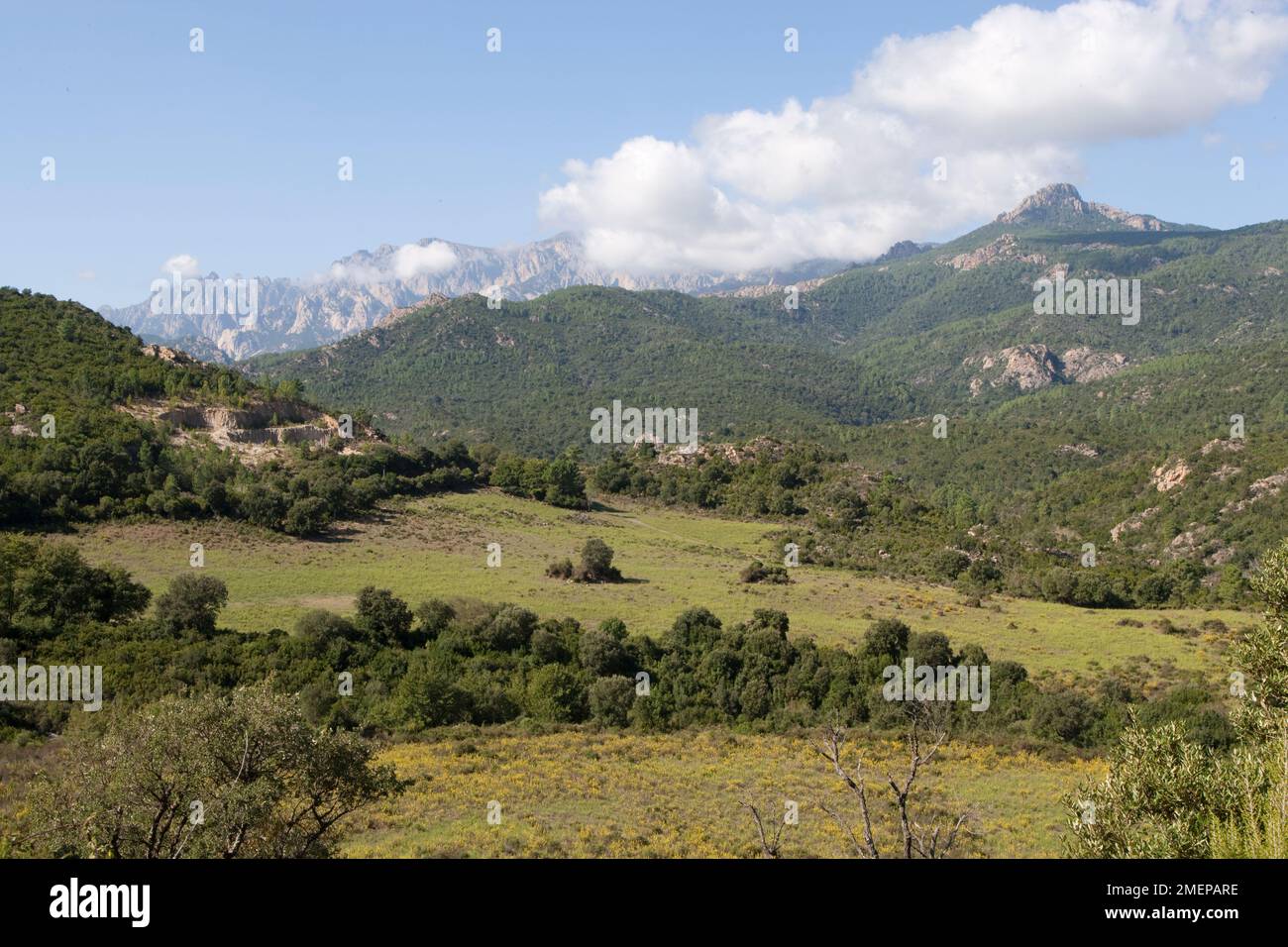Frankreich, Korsika, La Route de Bavella - Blick auf den Kopf des Tals, Les Aiguilles de Bavella Stockfoto