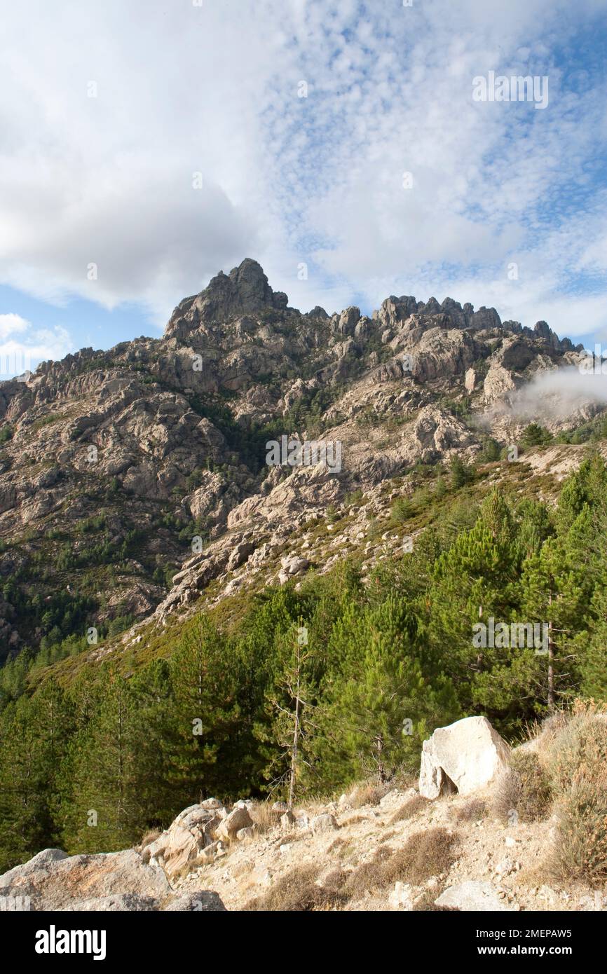 Frankreich, Korsika, Aiguilles de Bavella in der Nähe des Gipfels des Col de Bavella Stockfoto