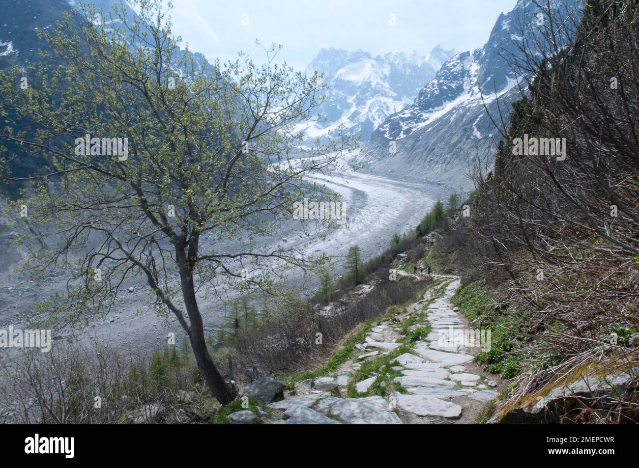 Frankreich, Rhone-Alpes, Haute-Savoie, Chamonix-Mont-Blanc (Chamonix), Mer de Glace, gletscher Stockfoto