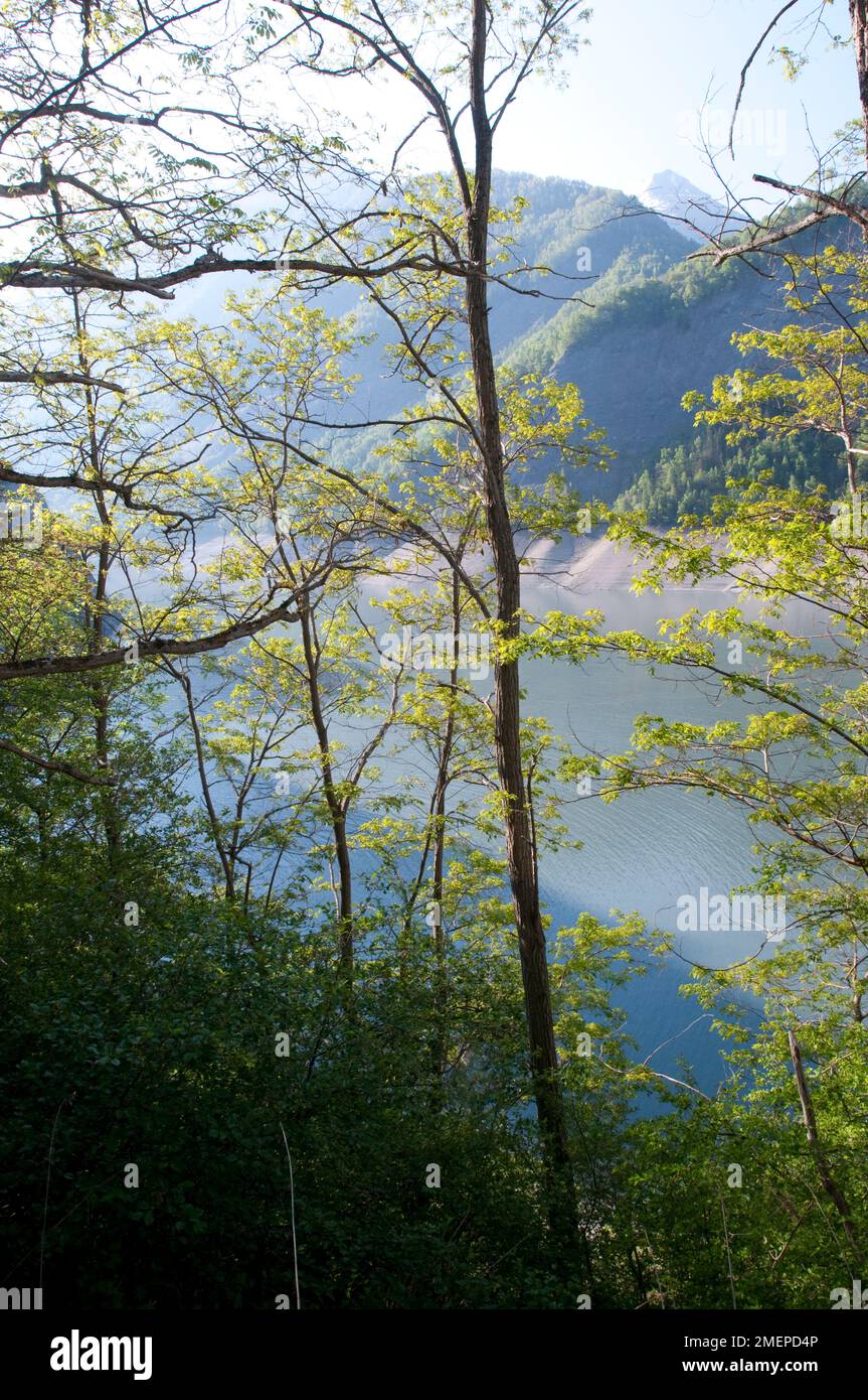 Frankreich, Hautes-Alpes, Parc National des Ecrins (Nationalpark Ecrins) Stockfoto