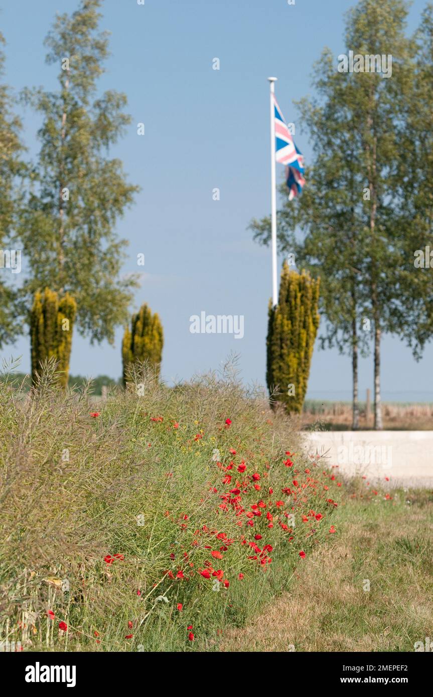 Frankreich, Somme, Ovillers-la-Boisselle, Ovillers britischer Militärfriedhof, britische Flagge Stockfoto