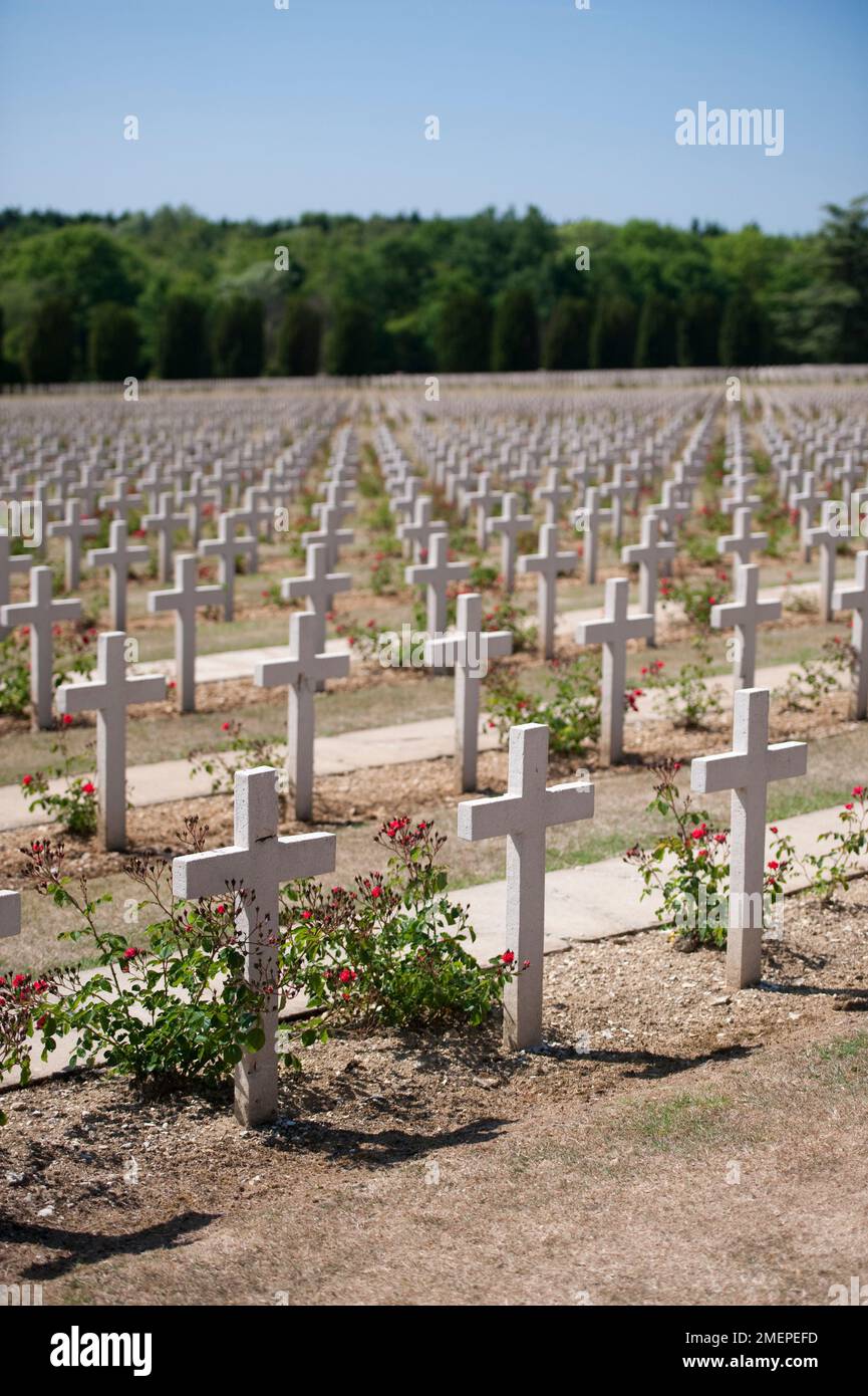 Frankreich, Lothringen, Maas, Verdun, Douaumont-Ossarium (L'ossuaire de Douaumont), Kreuzreihen auf dem Kriegsfriedhof Stockfoto